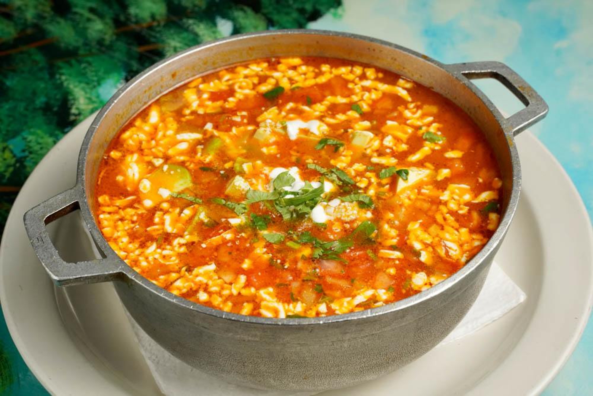 Chicken Tortilla Soup