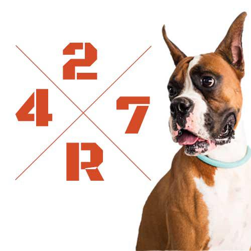 247 Renovation LLC Logo