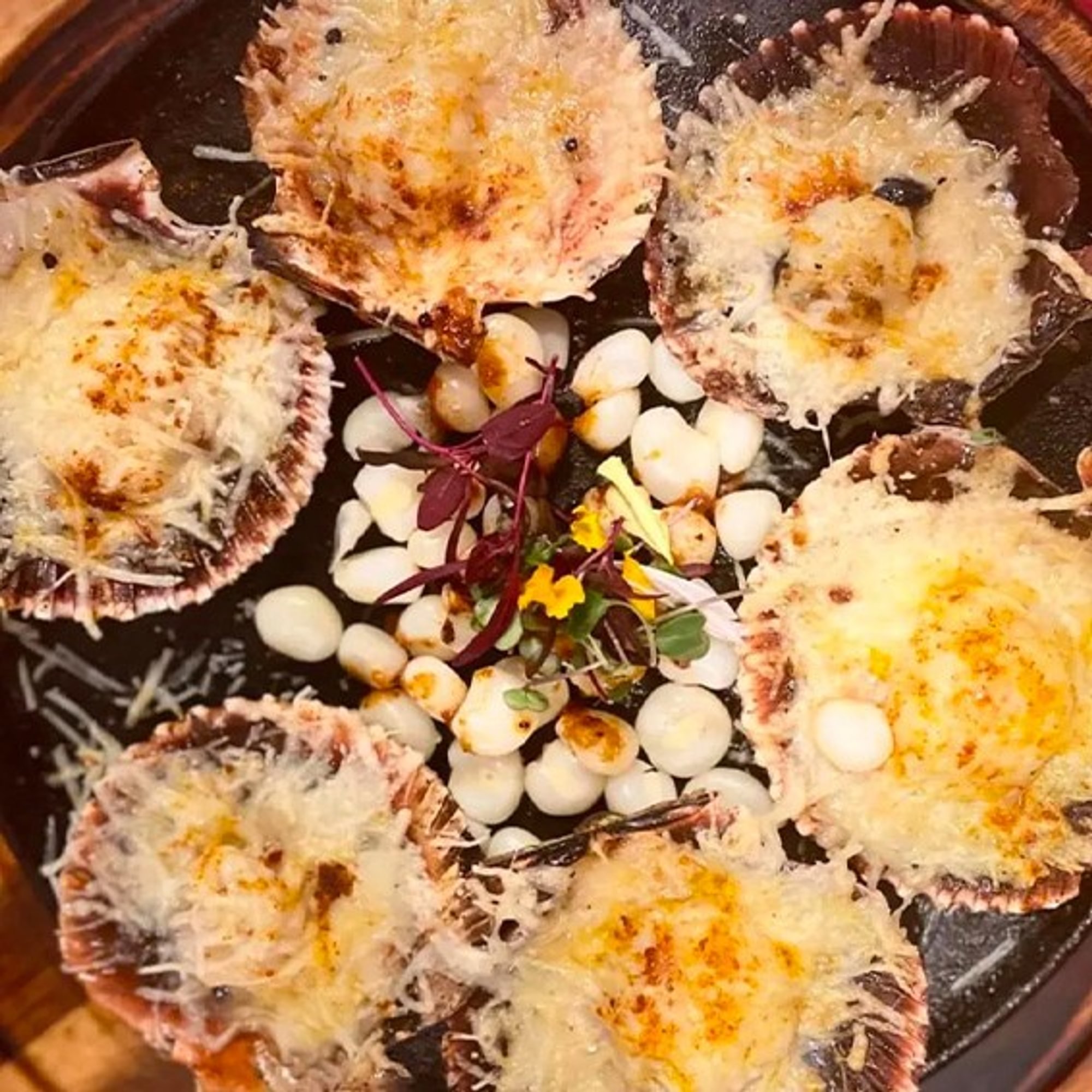 Conchas a la Parmesana