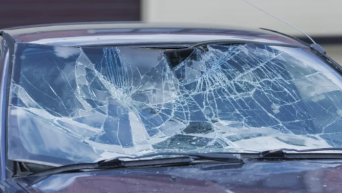 Windshield Pro Online Image