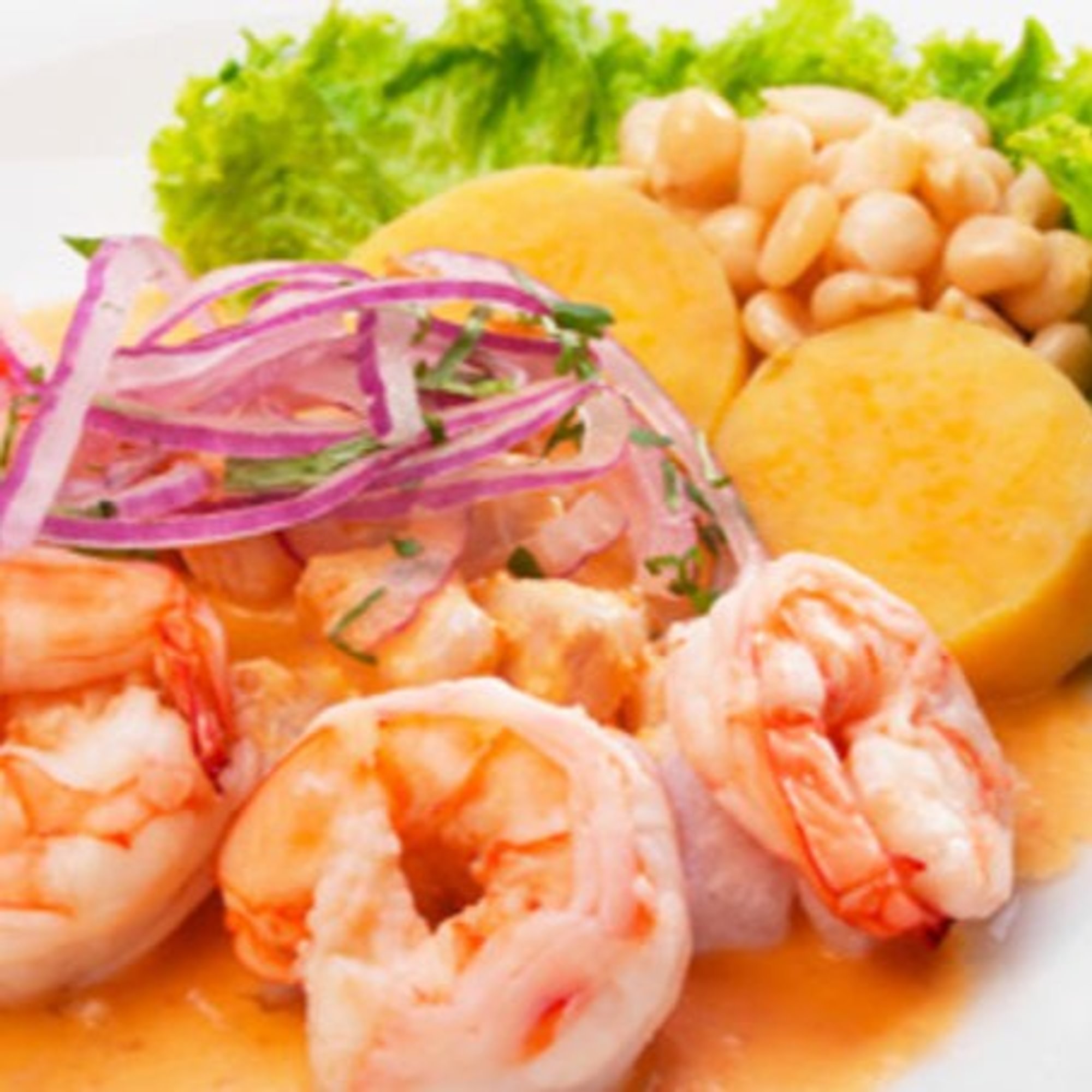 Ceviche de Camaron