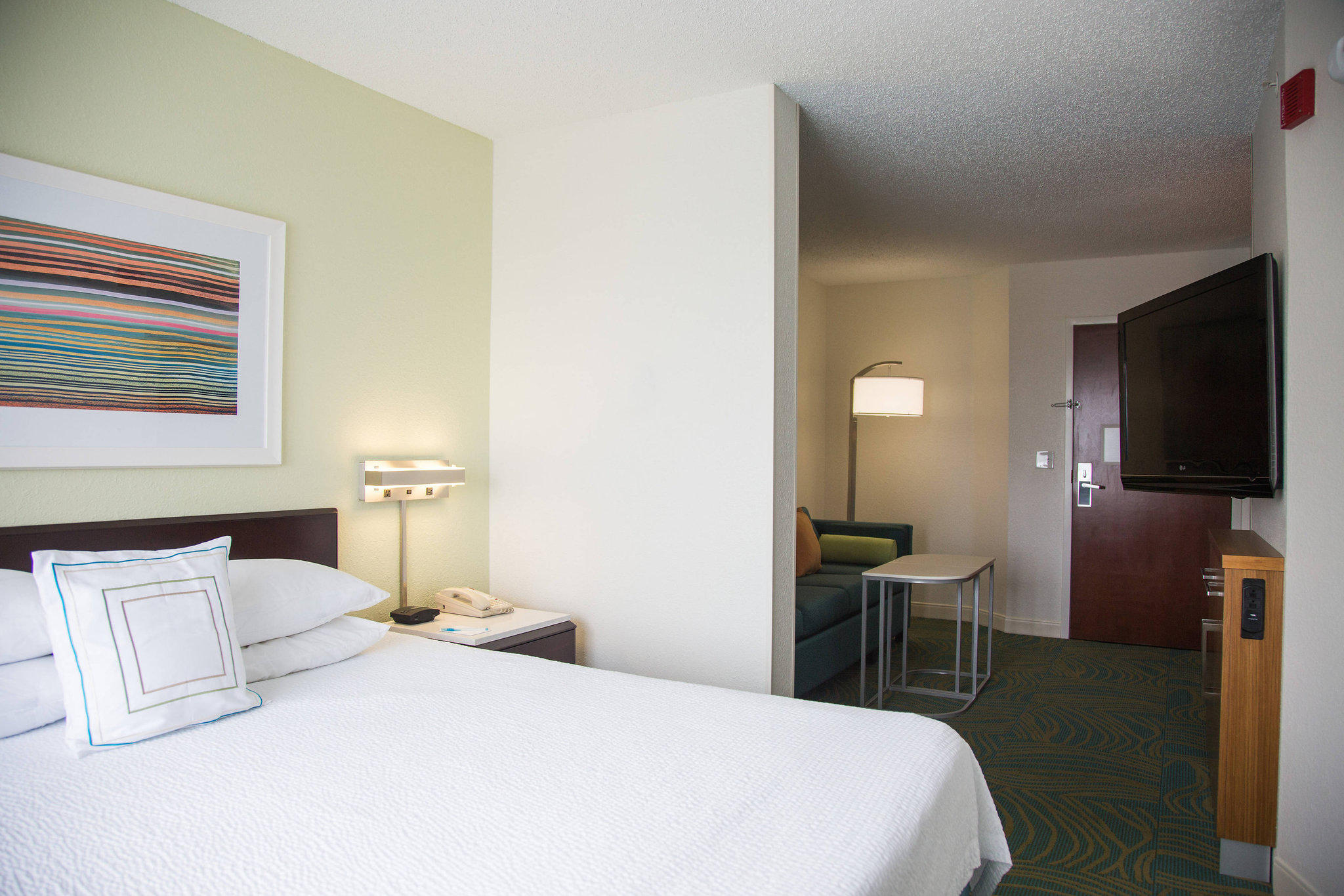 SpringHill Suites by Marriott Jacksonville Photo