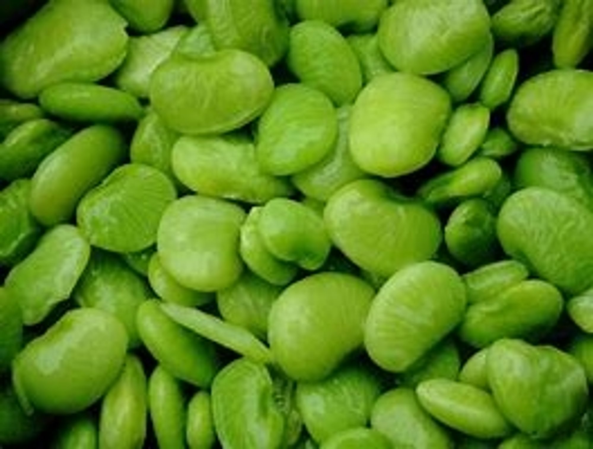 Lima Bean Recipe