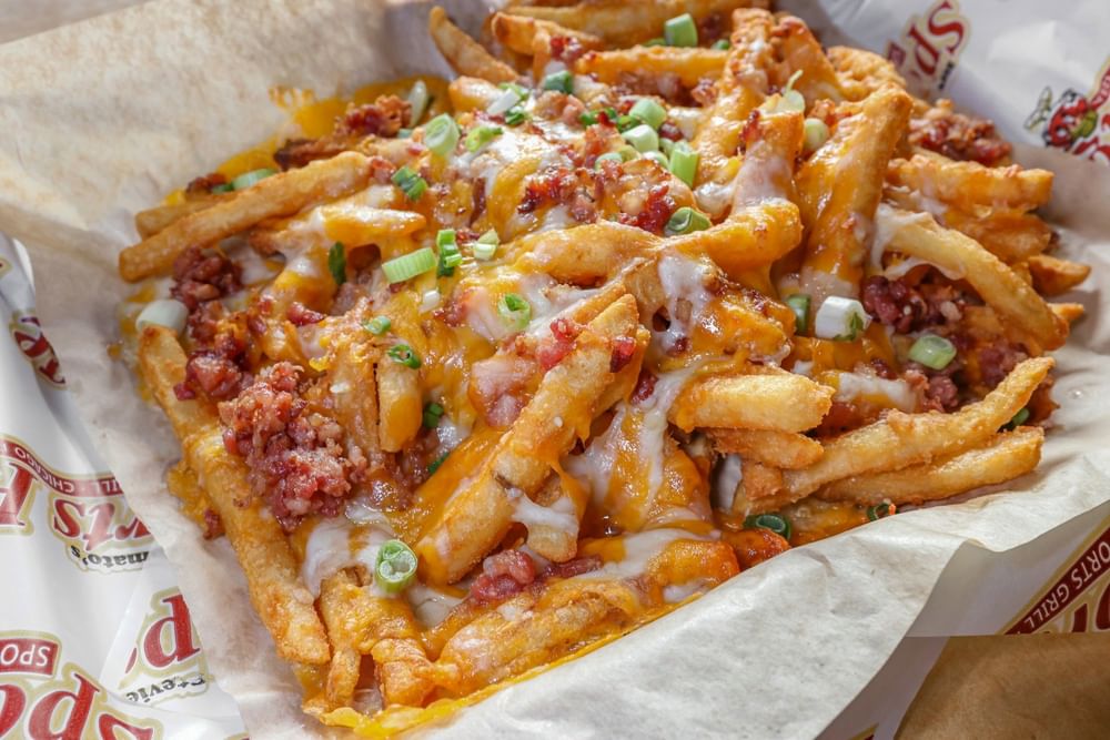 Loaded Fries