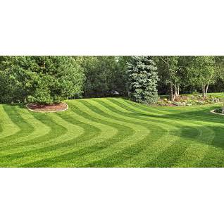 Jessica Jones Lawn Care Service Logo