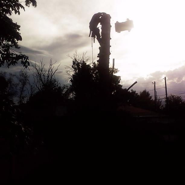 Golden Tree Service Logo