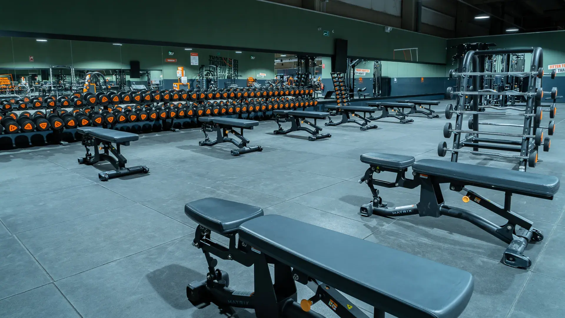 Galería de imágenes