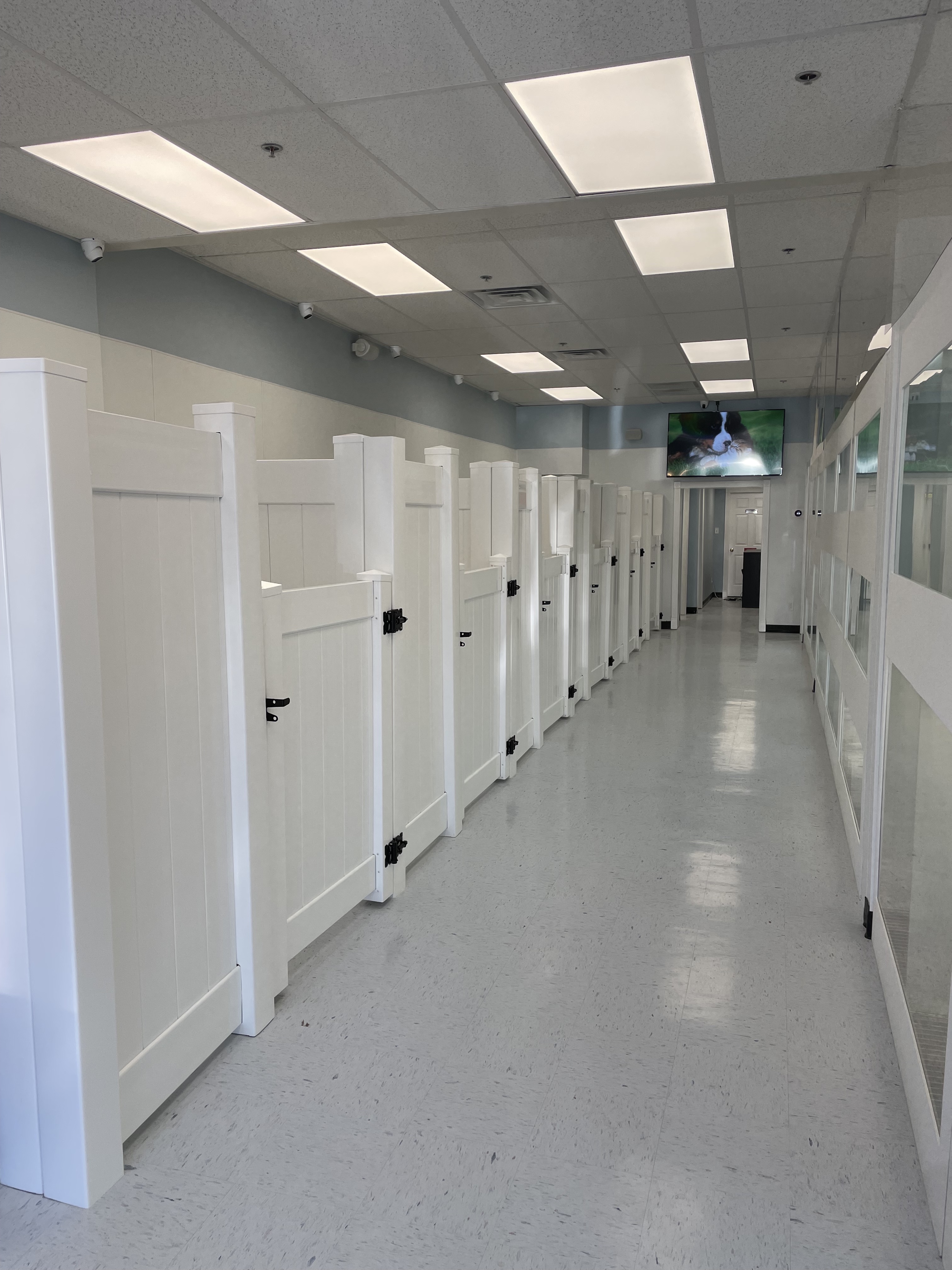 Select A Puppy, Inc. Image