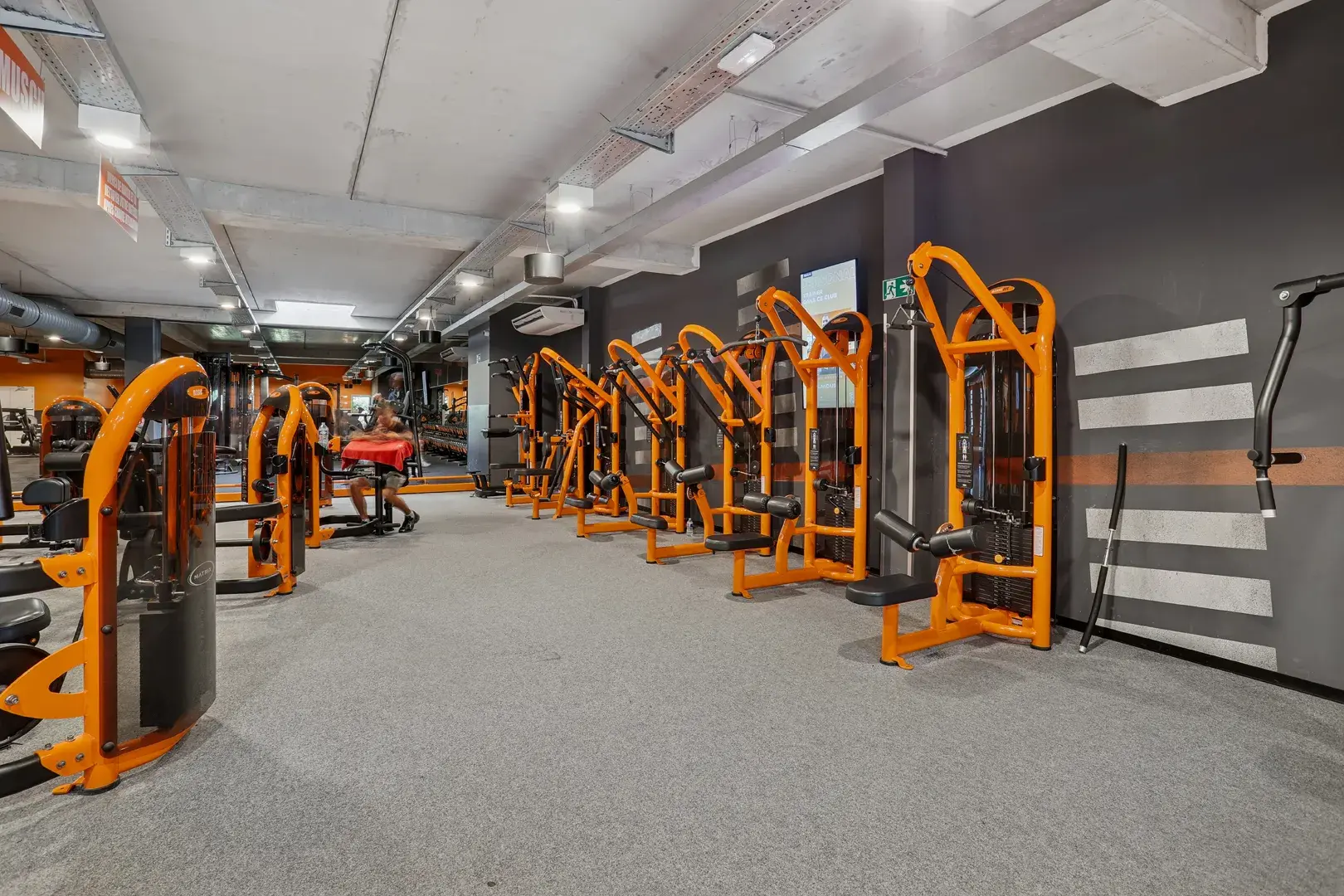 Miniature de la galerie