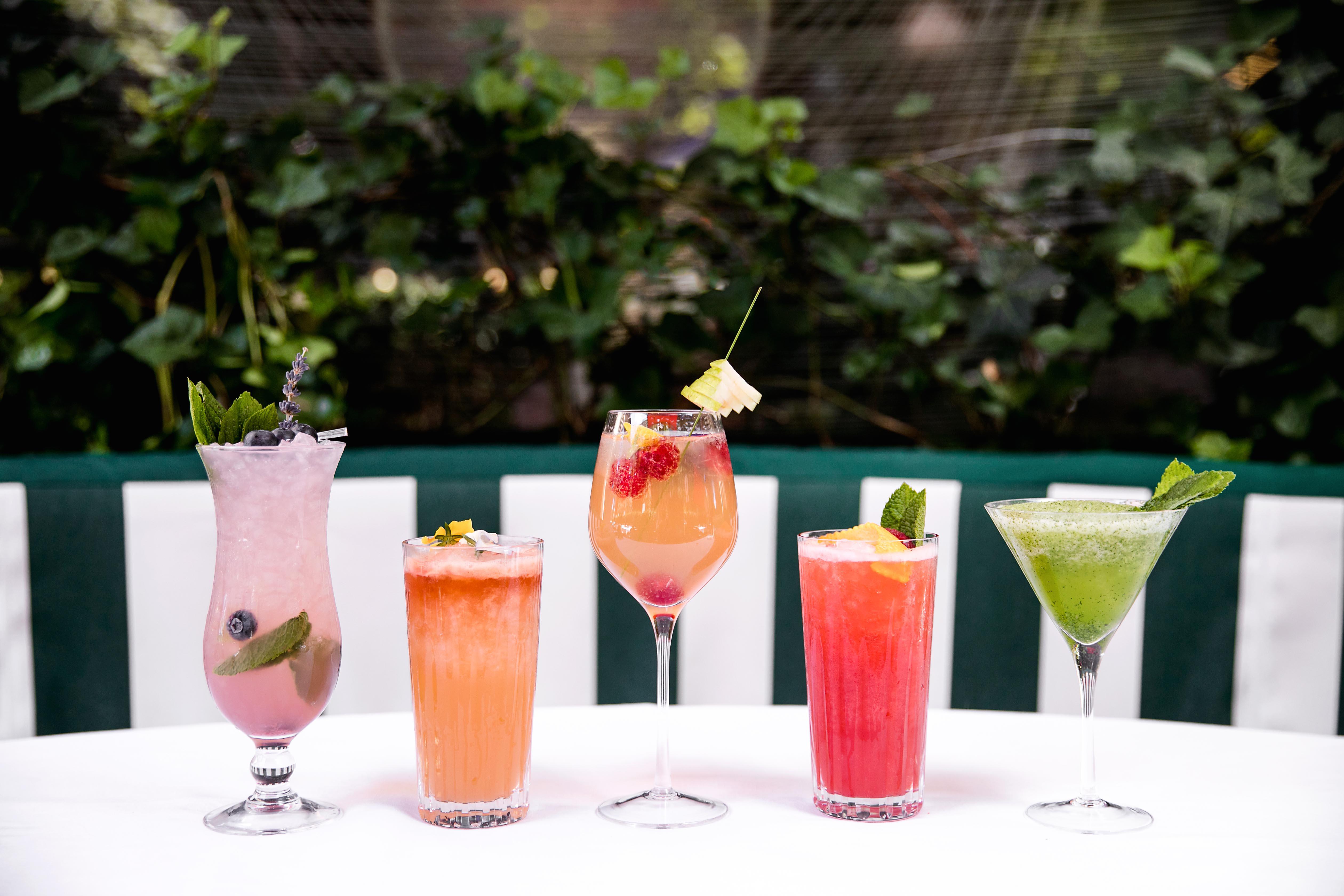 Images La Terrasse Montaigne