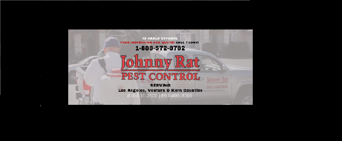 Johnny Rat Pest Control Photo