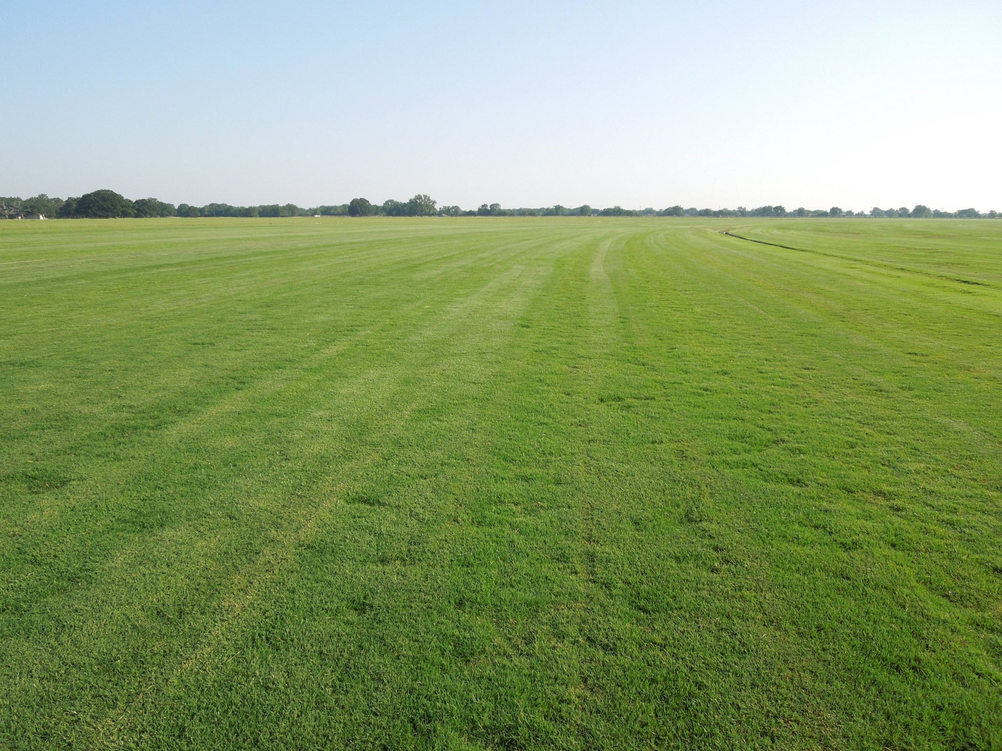 Loyd Brigance Grass Sales Inc. Logo