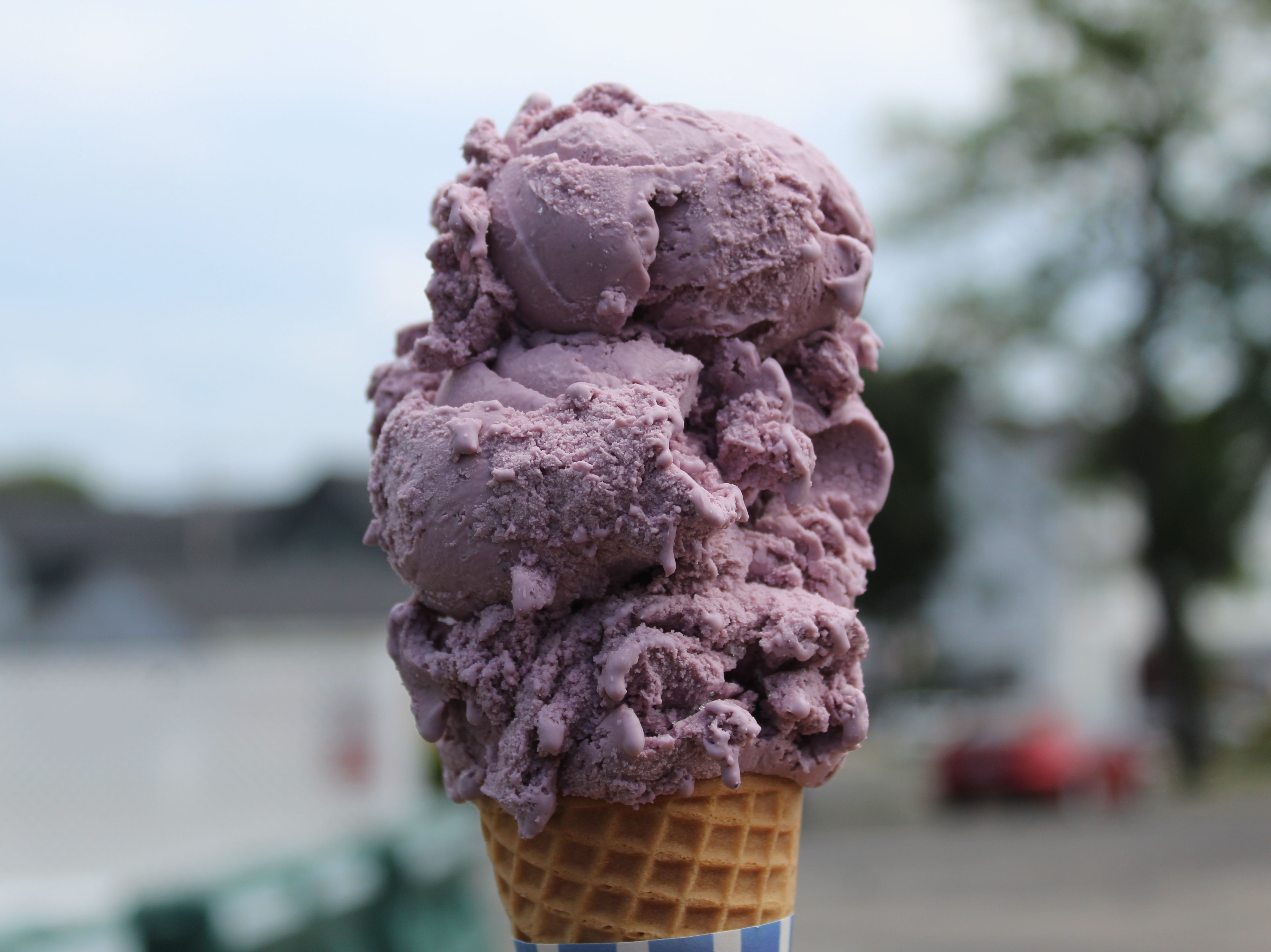 Black Raspberry