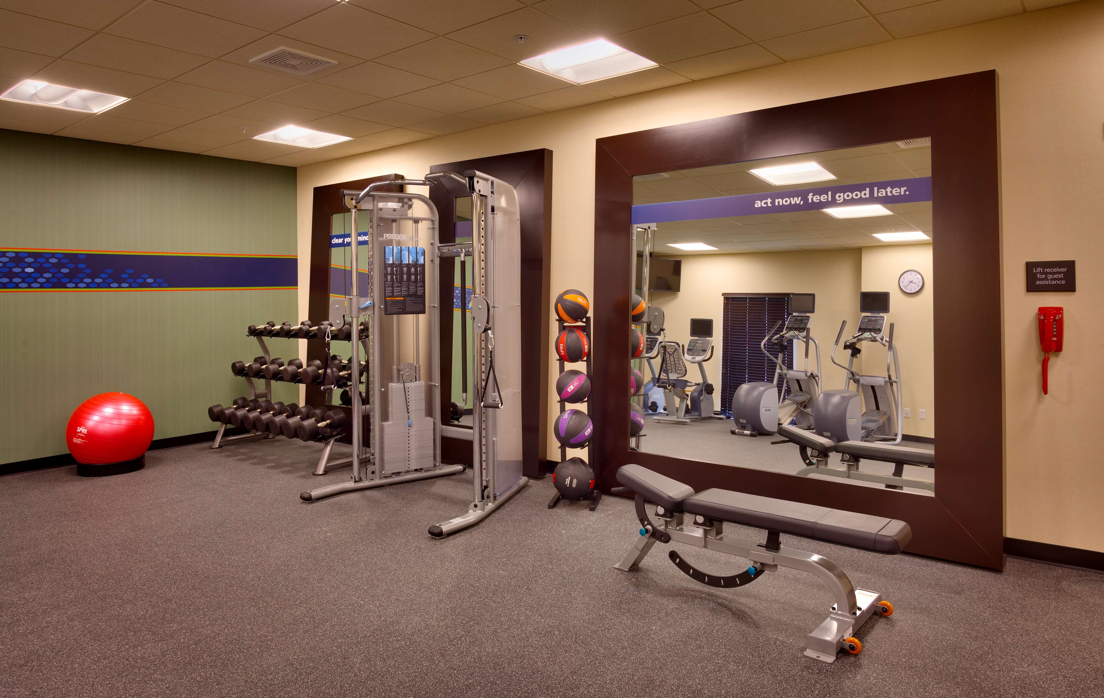 Health club  fitness center  gym