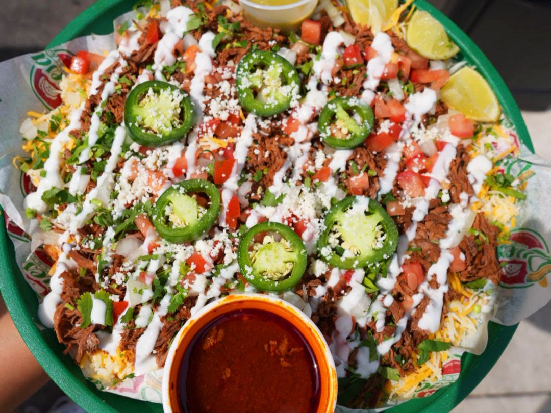 Birria Fries