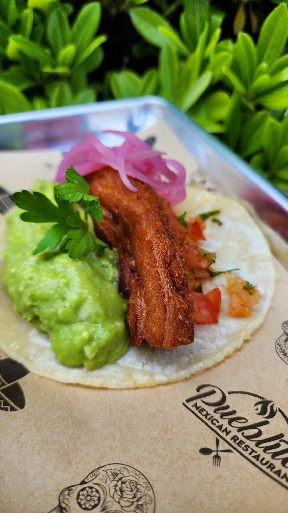 Taco Chicharrón