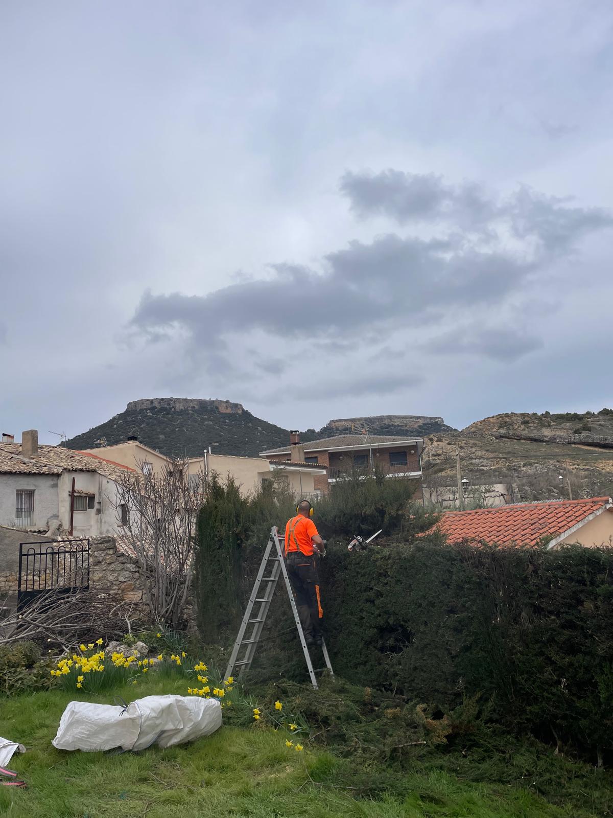 Galería en miniatura