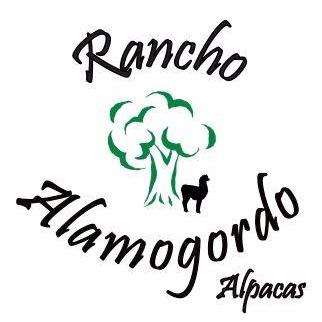 Rancho Alamogordo Alpacas