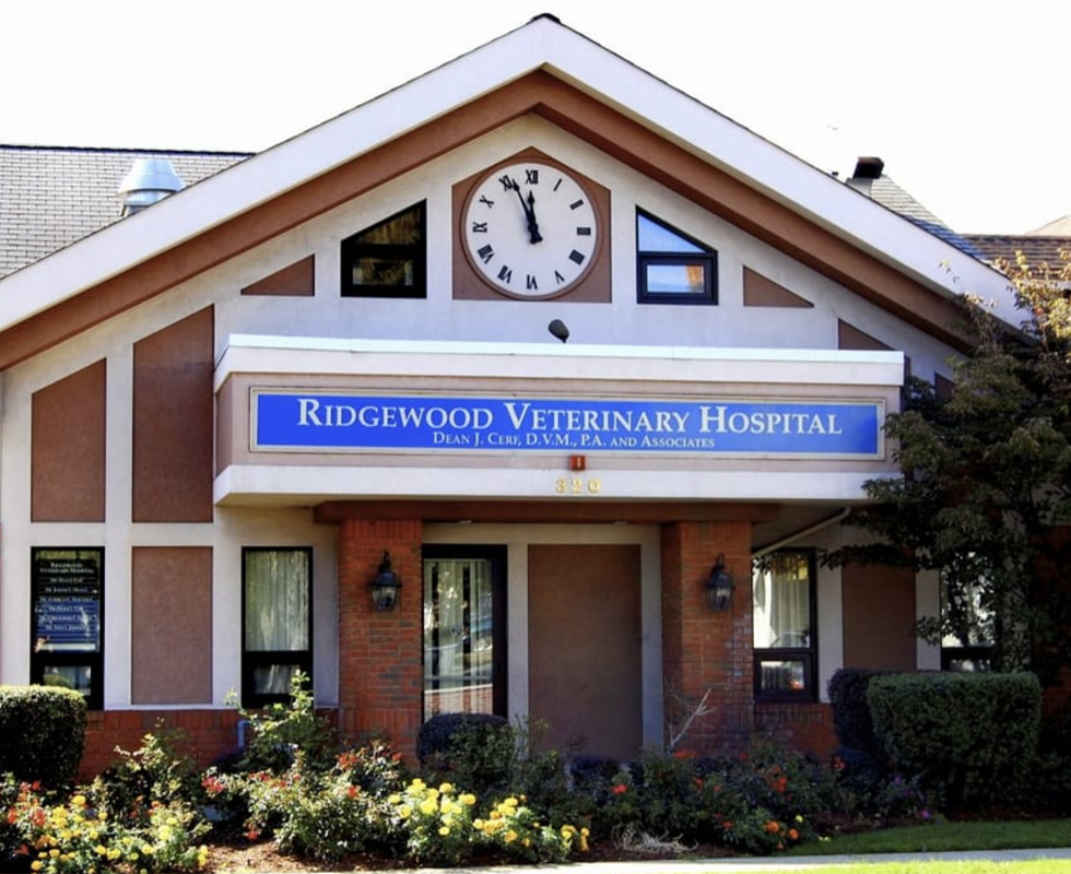 VCA Ridgewood Veterinary Hospital Photo
