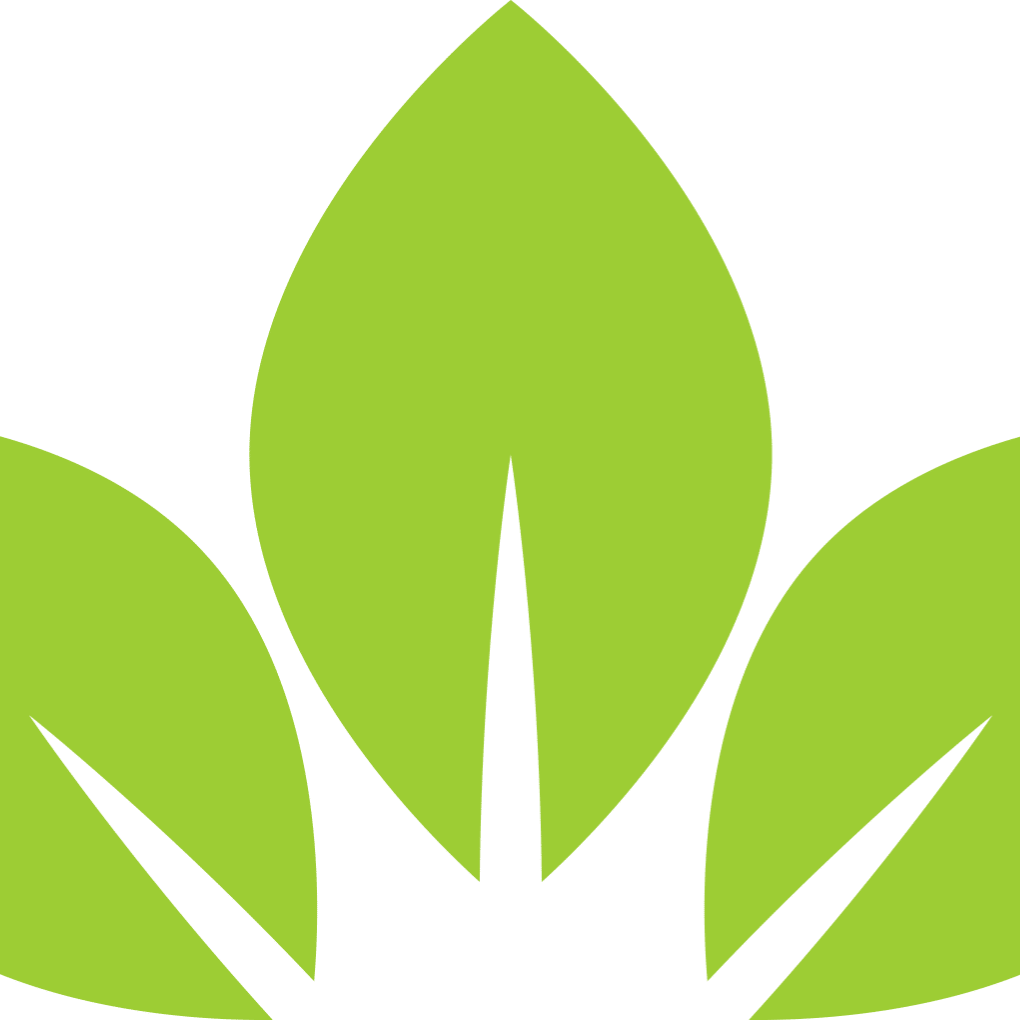 Prime Dental Group Logo