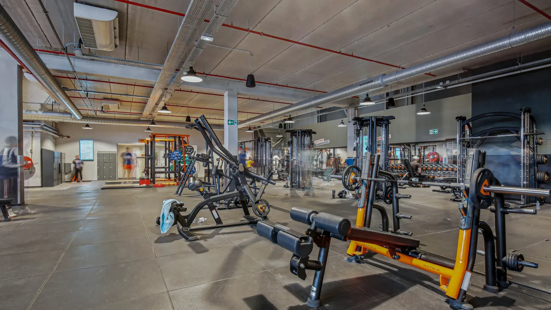 Miniature de la galerie