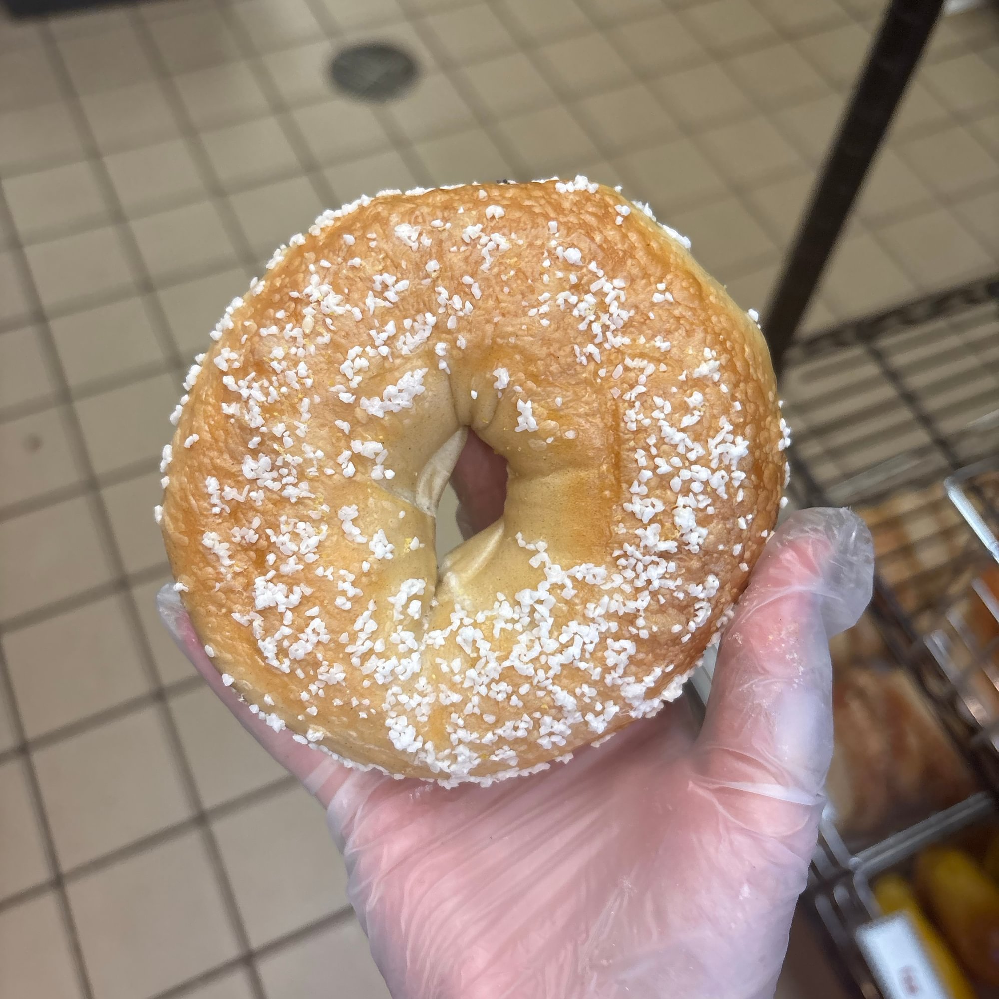 Salt Bagel