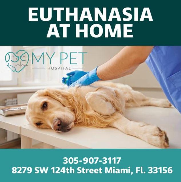 Pet Euthanasia Services in Miami