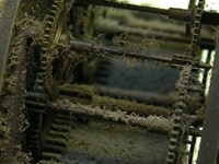 Gallery thumbnail