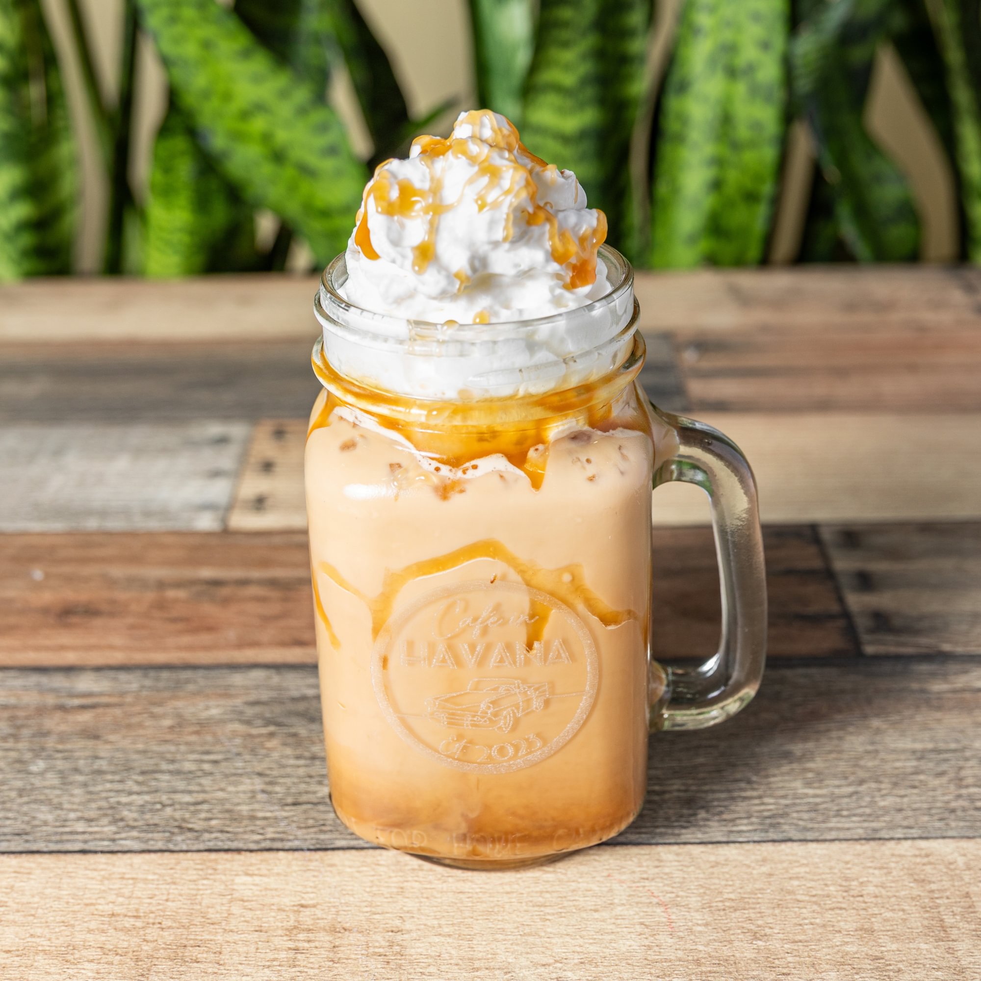 CaféHavana (Iced)