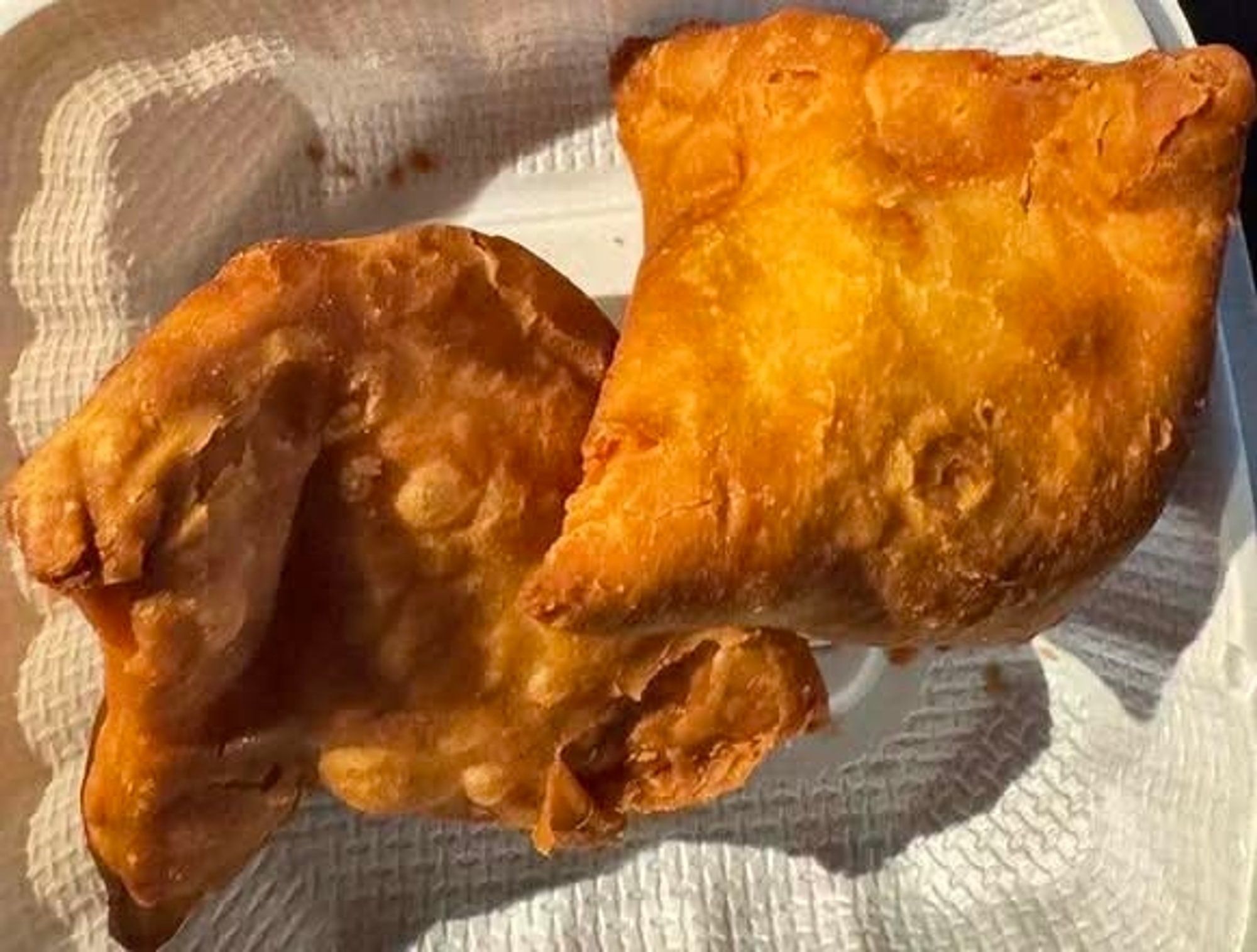 Veg. Samosa