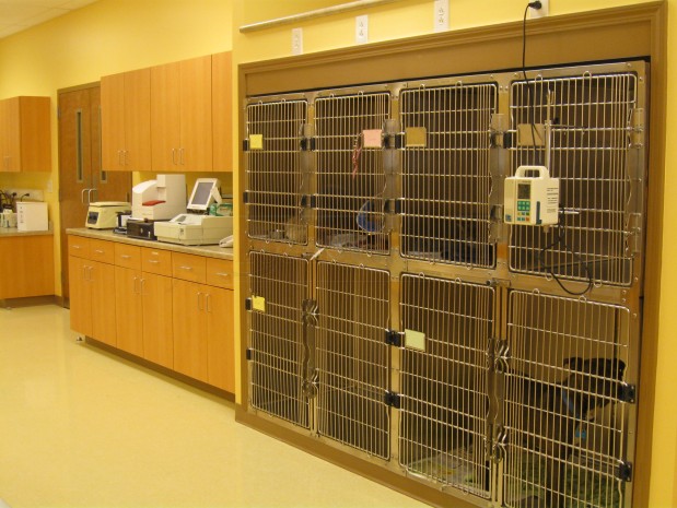 Boone's Creek Animal Hospital Photo