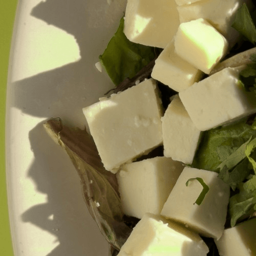 Queso Fresco