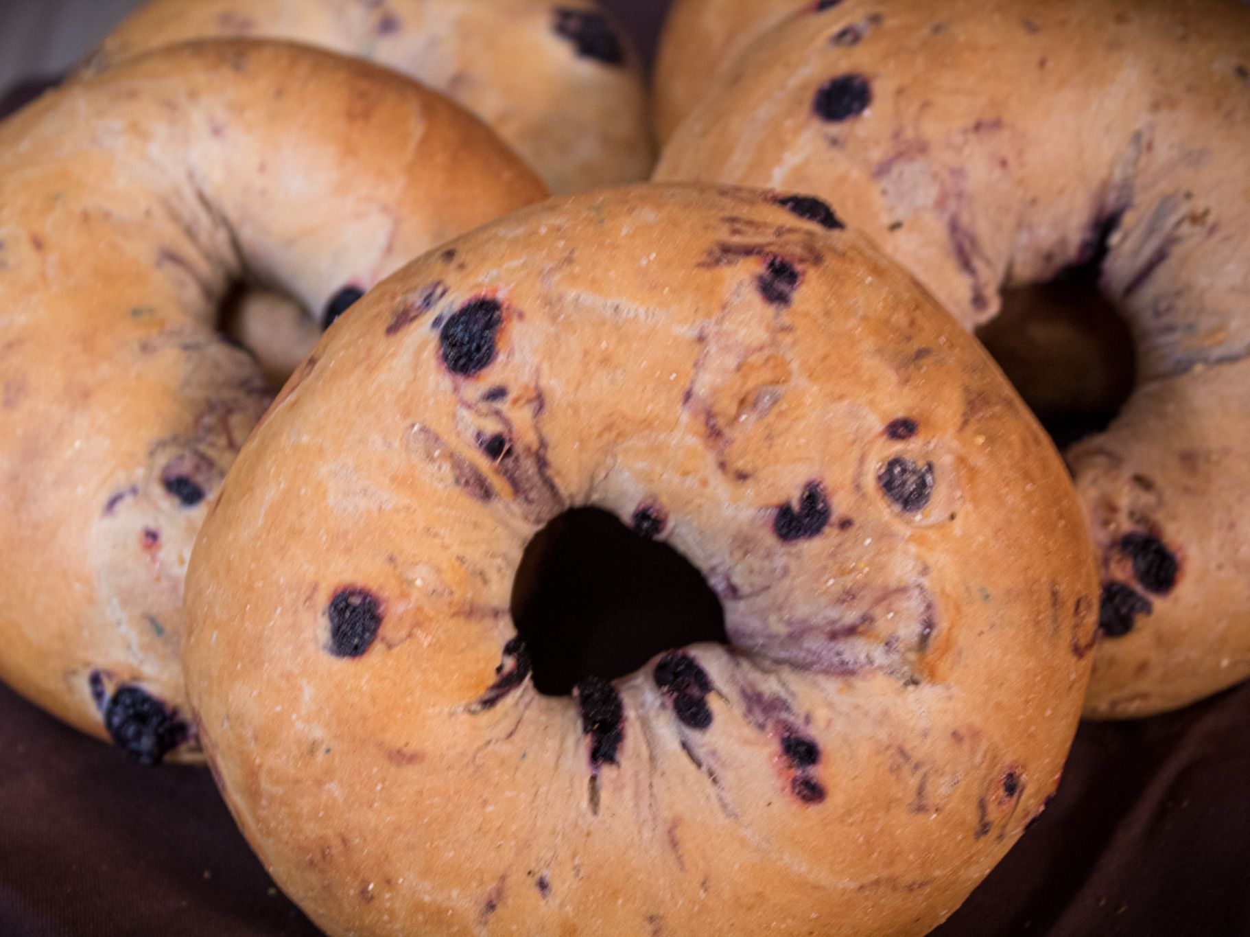 GLUTEN FREE DOZEN (12) +2 TUBS CREAM CHEESE