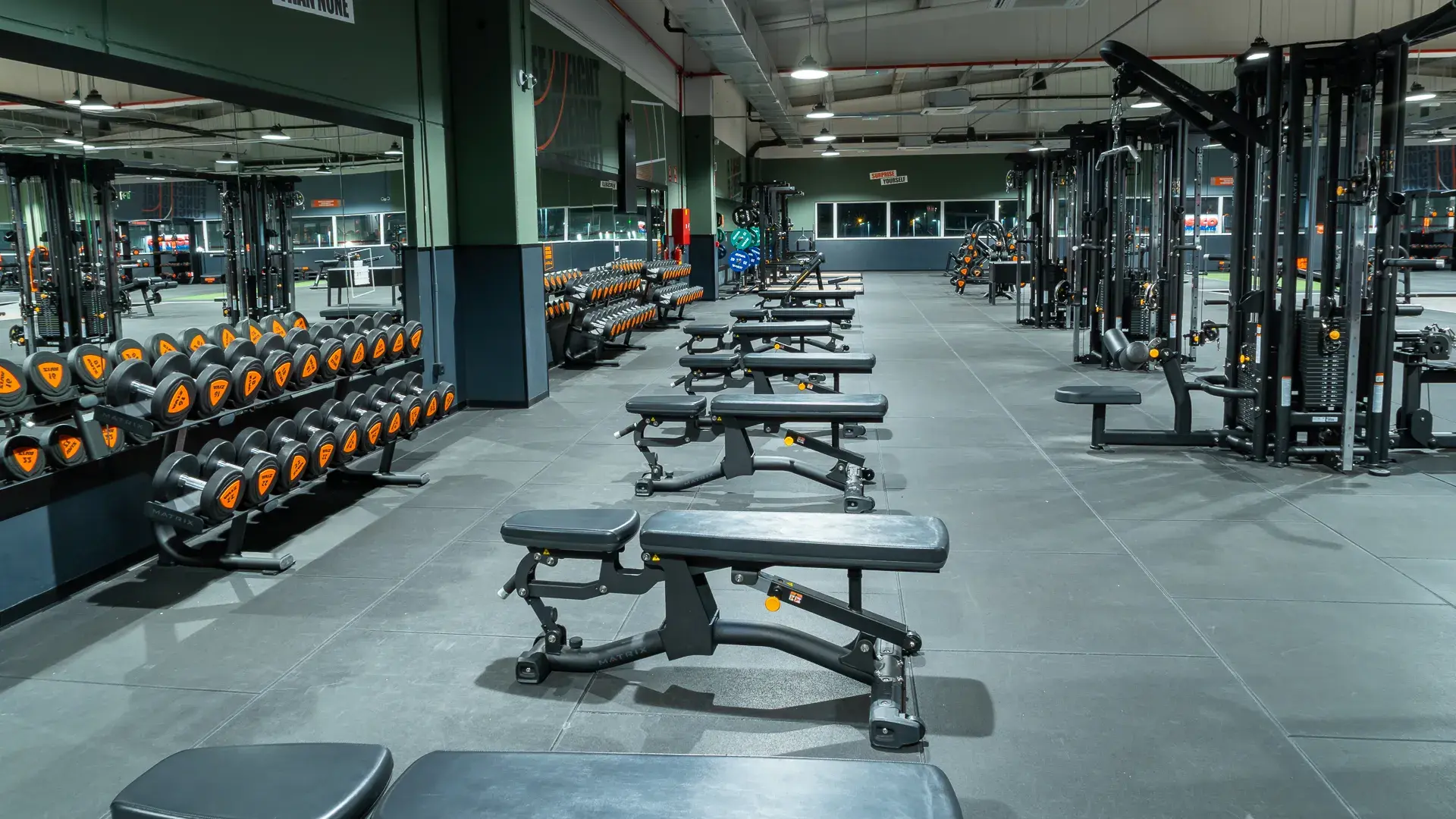 Galería de imágenes