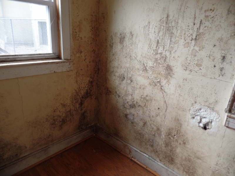 Phoenix Home Inspections LLC Image