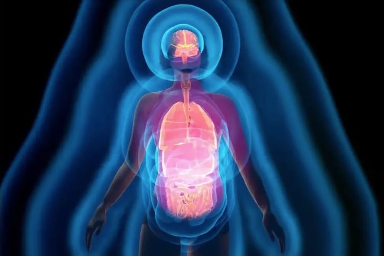 Vital Field Therapy Practitioners – The Further Development of Bioresonance Ther