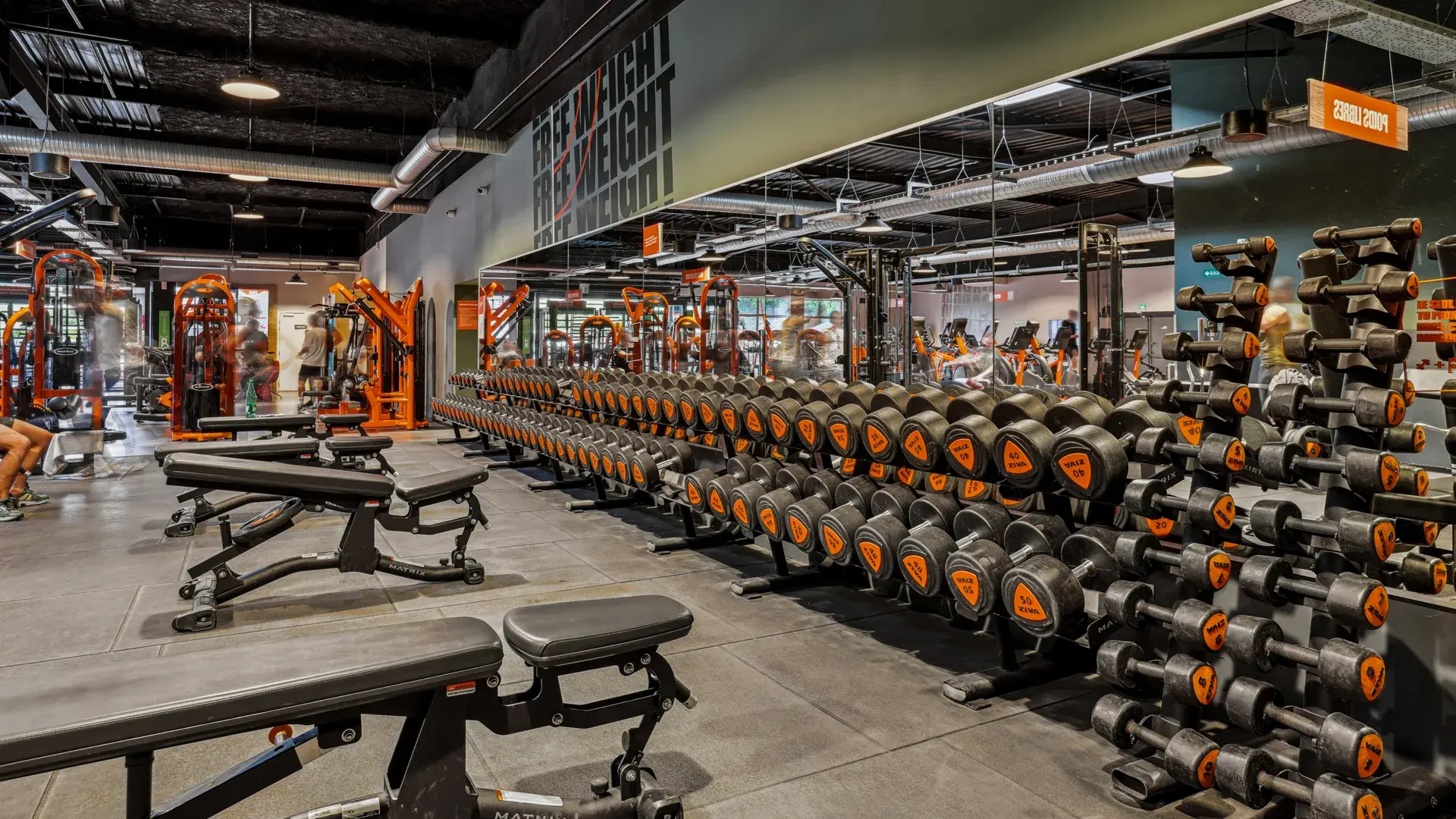 Miniature de la galerie