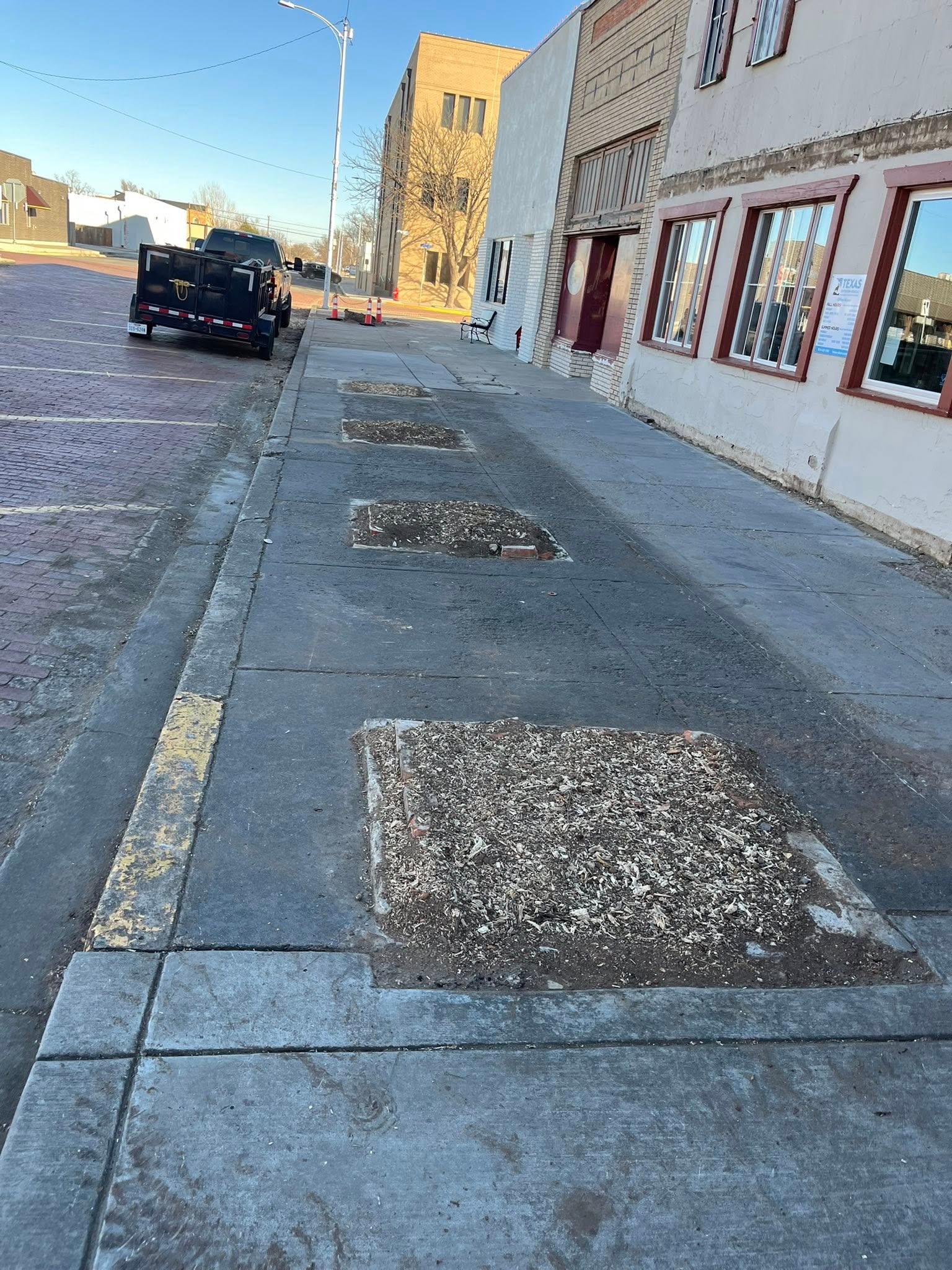 Off The Court Property Maintenance (DBA Amarillo Tree Removal) Image