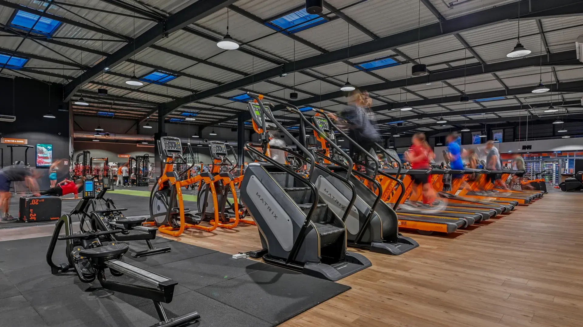 Miniature de la galerie