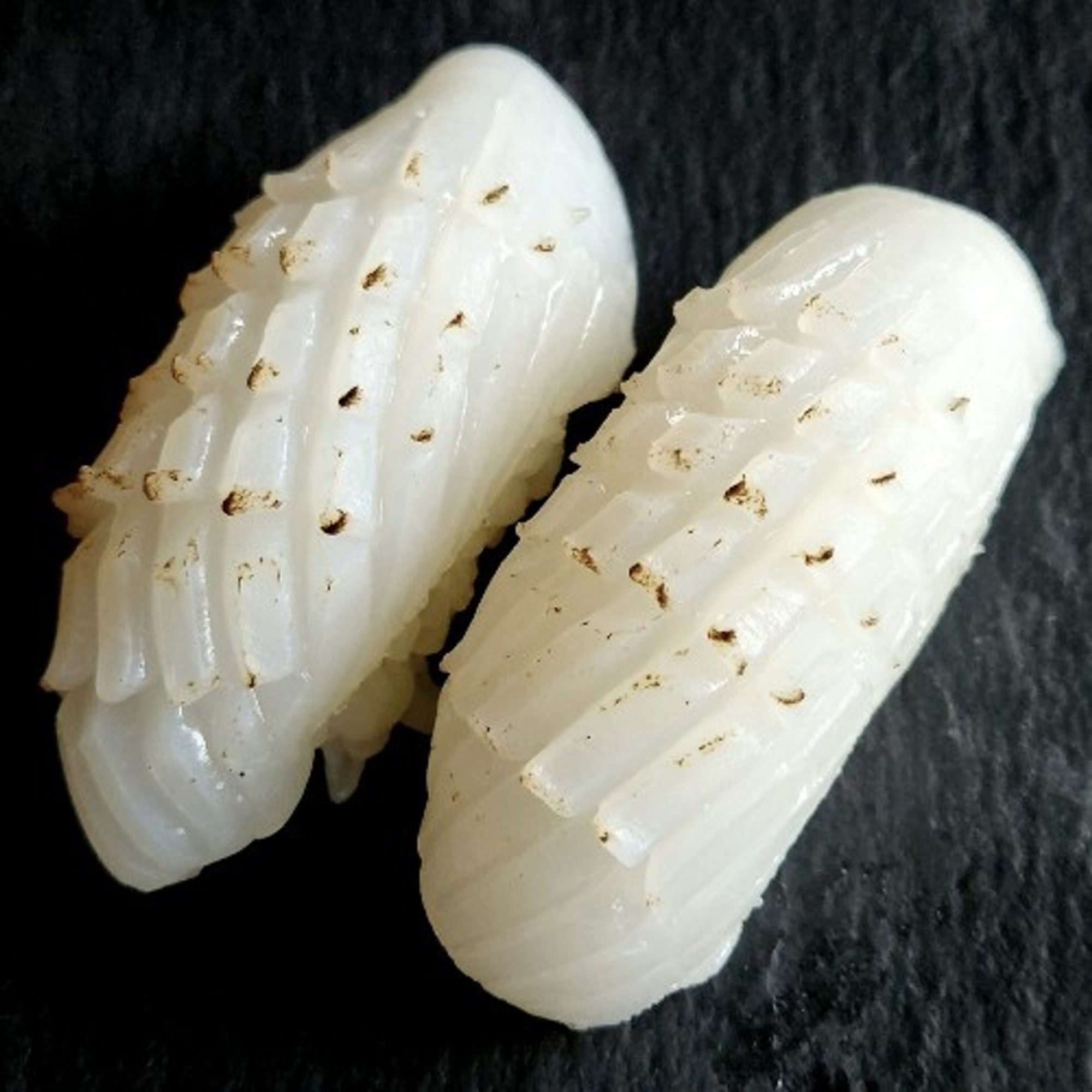 Ika Nigiri