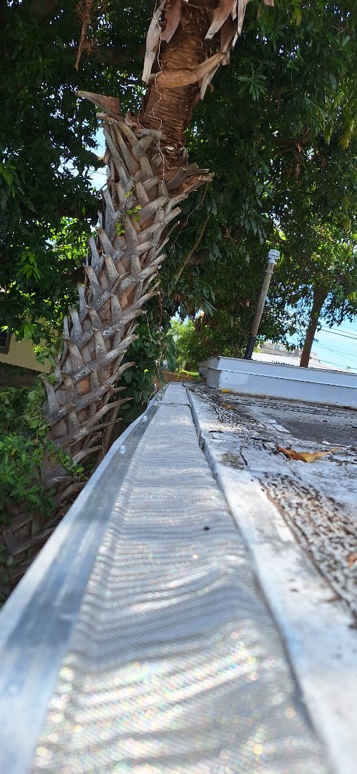 Window Hero Northern Tampa Image