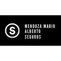 Mendoza Mario Alberto Productor y Asesor de Seguros
