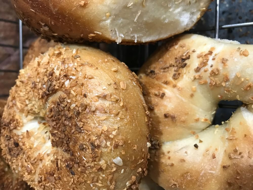 Onion Bagel