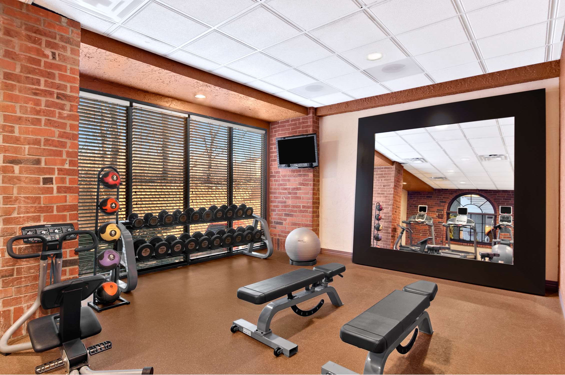 Health club  fitness center  gym