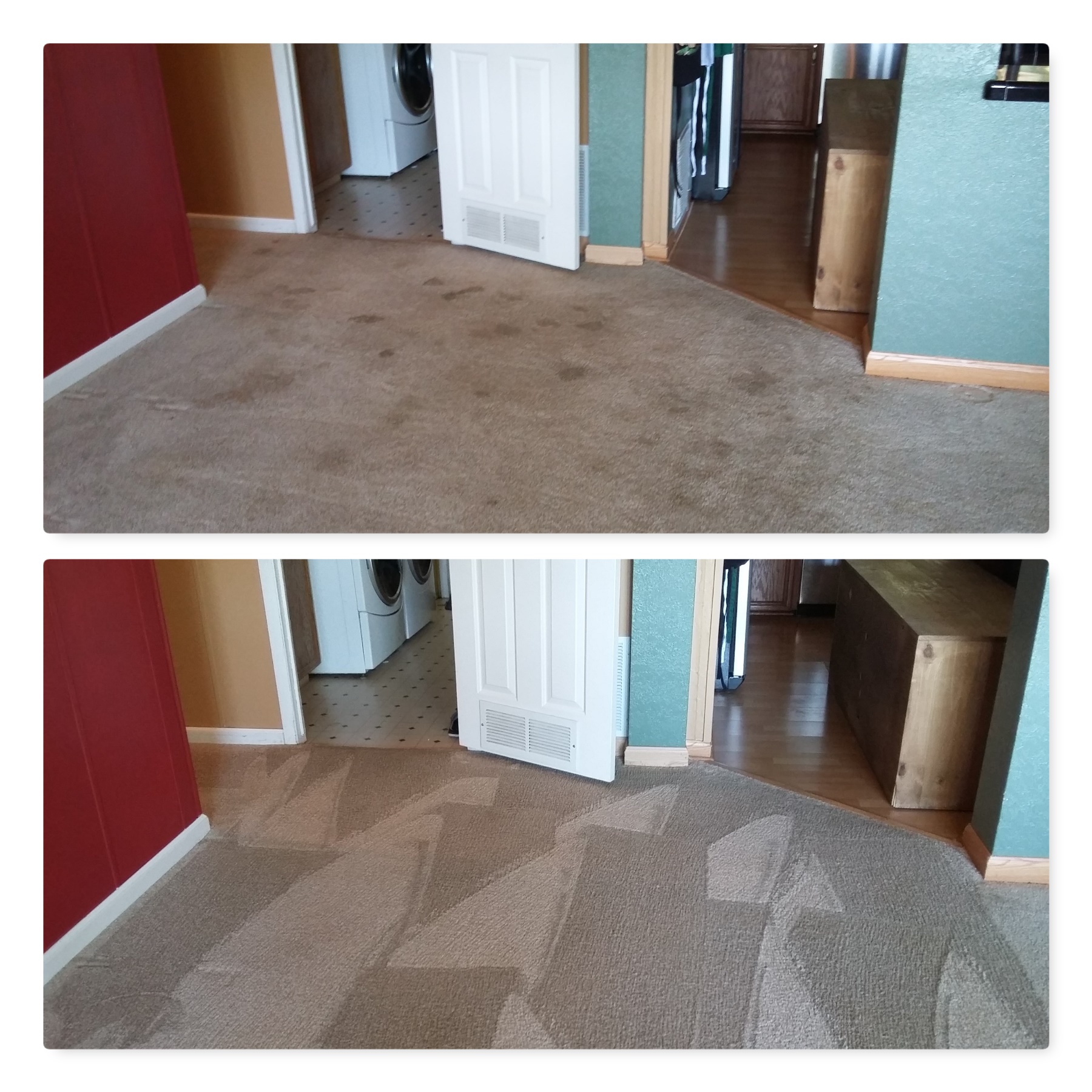 QuikDri Carpet Cleaning LLC Photo