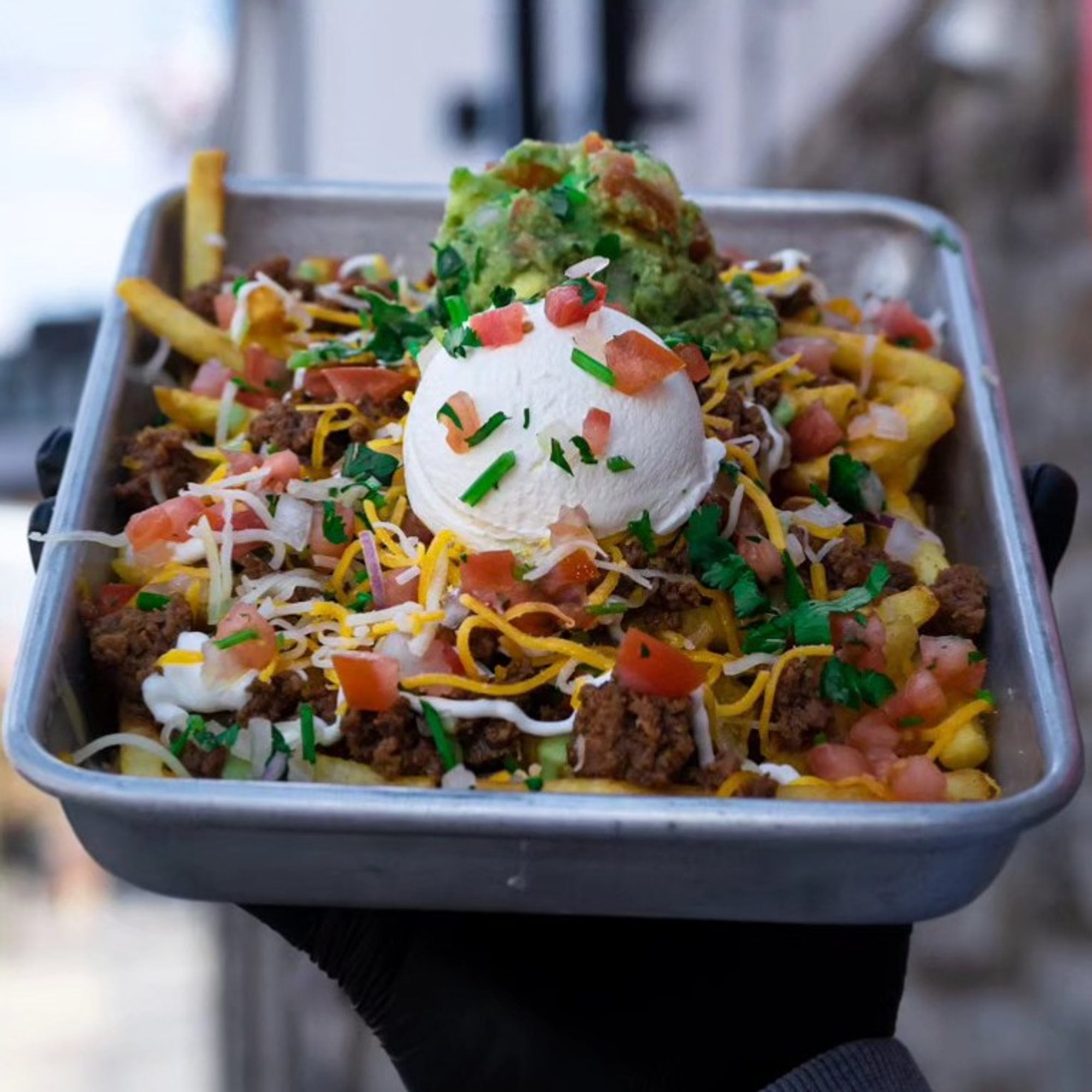 Birria Fries