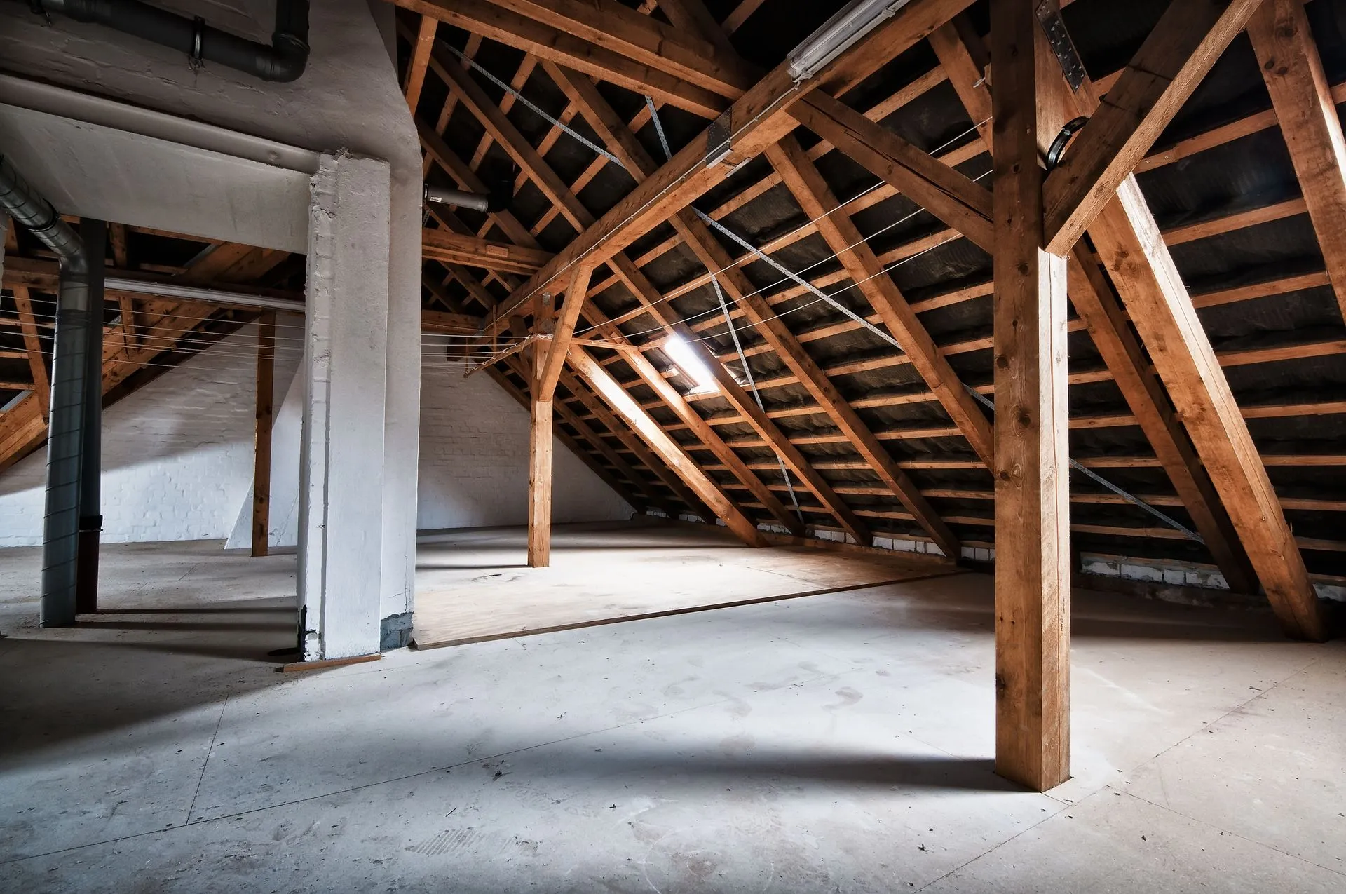 Attic Cleaning & Sanitation