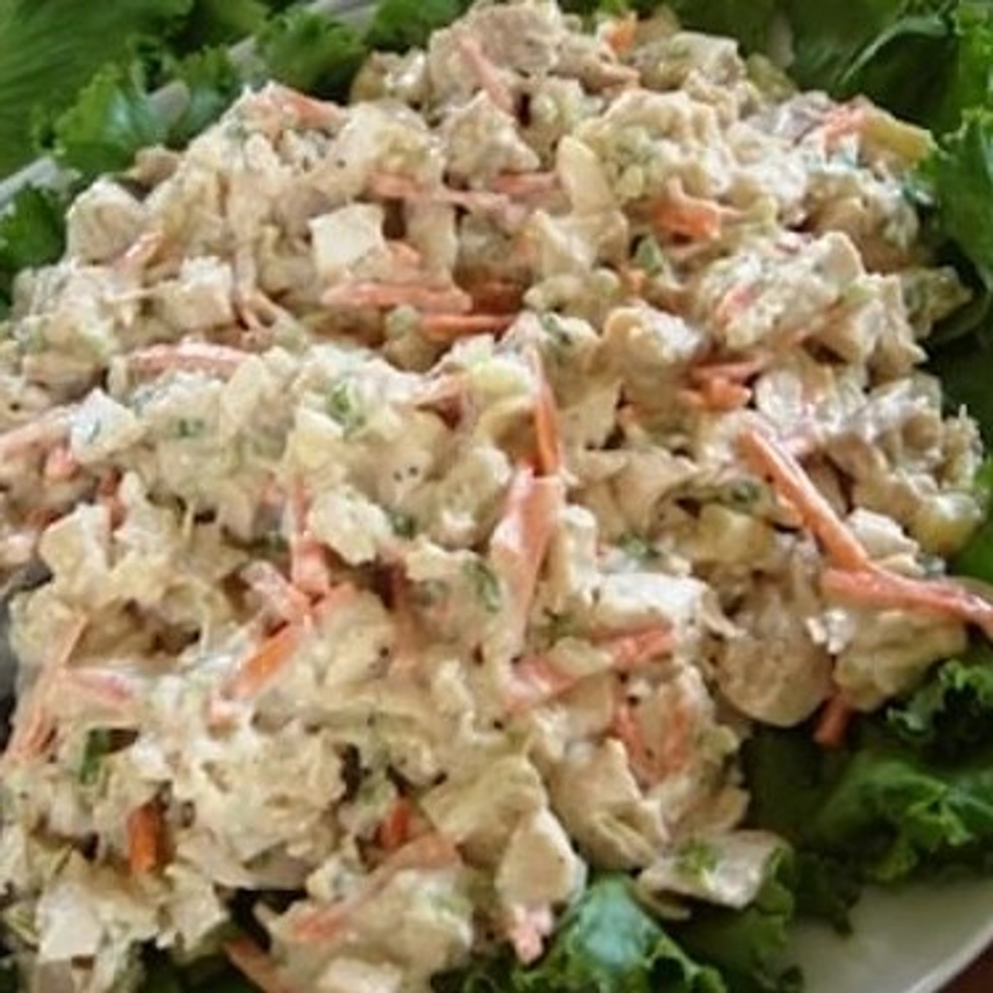 27.ENSALADA DE POLLO