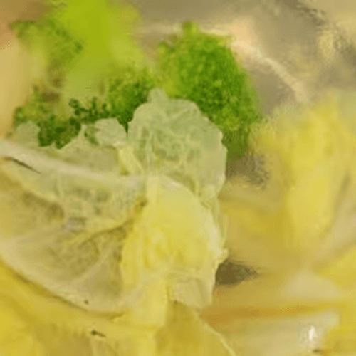 Vegetable Soup