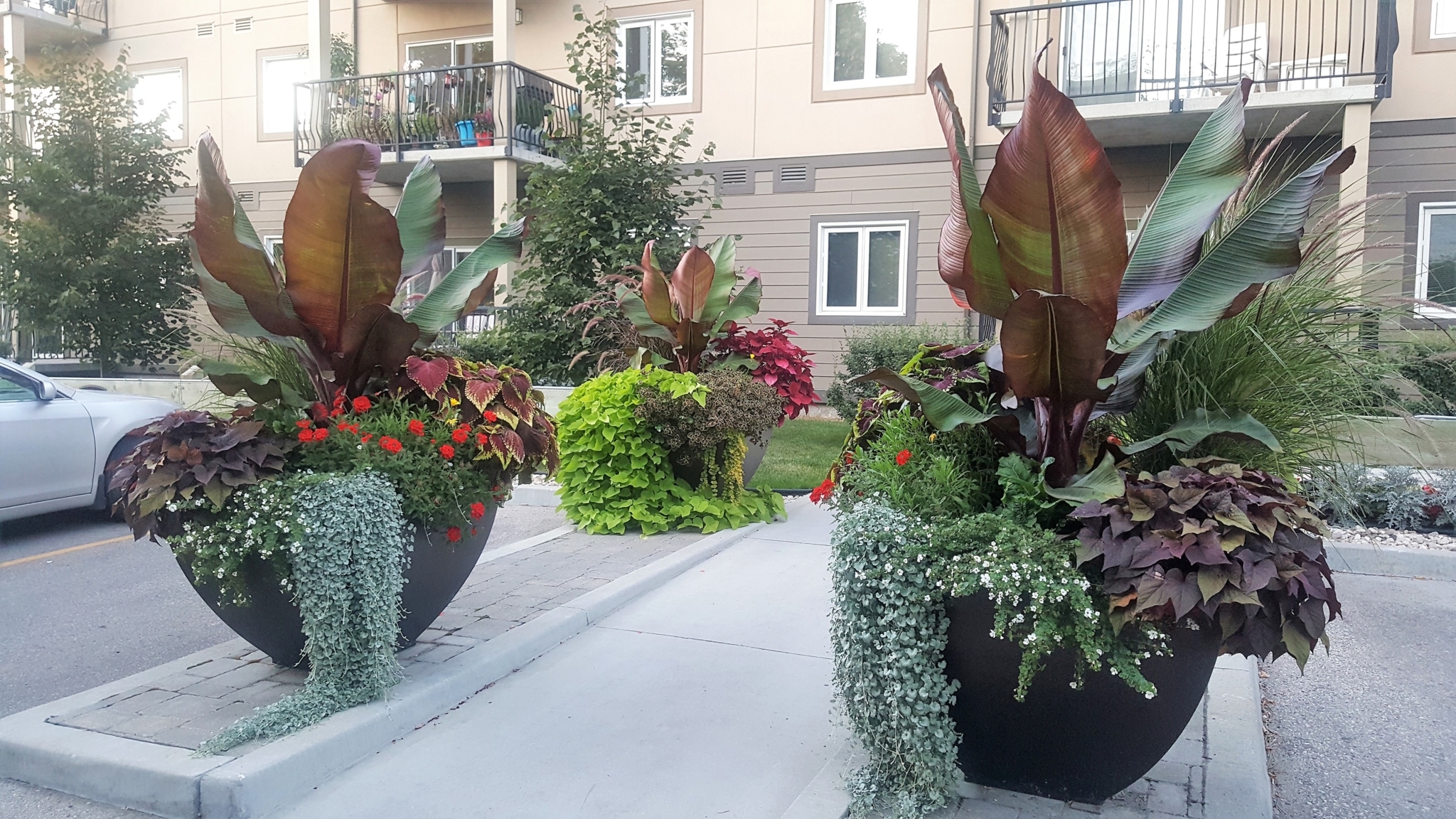 Images Prelude Landscaping